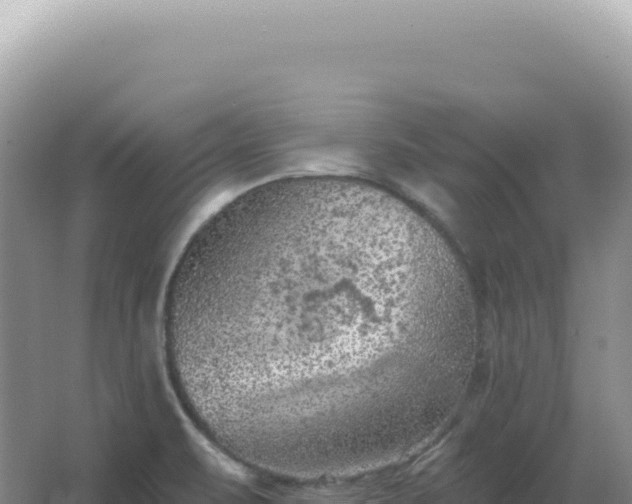 X0000067511471200604150121