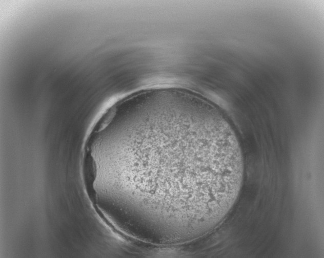 X0000067511472200604150121