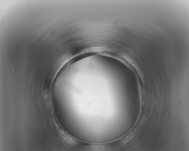 X0000067511473200604150121