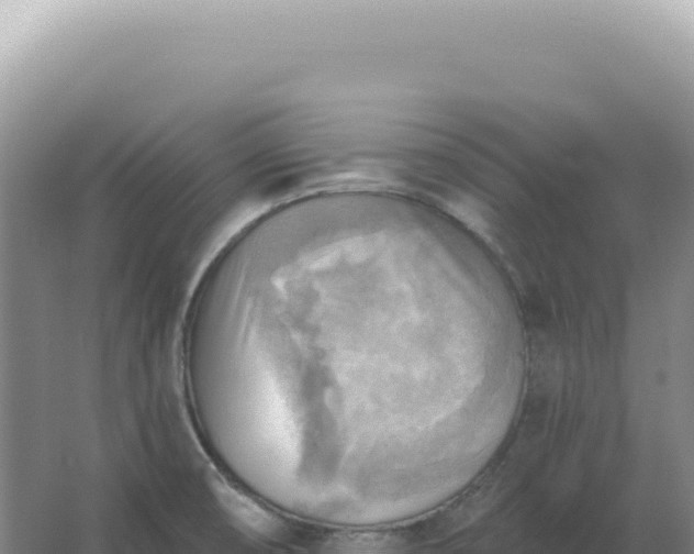 X0000067511474200604150121