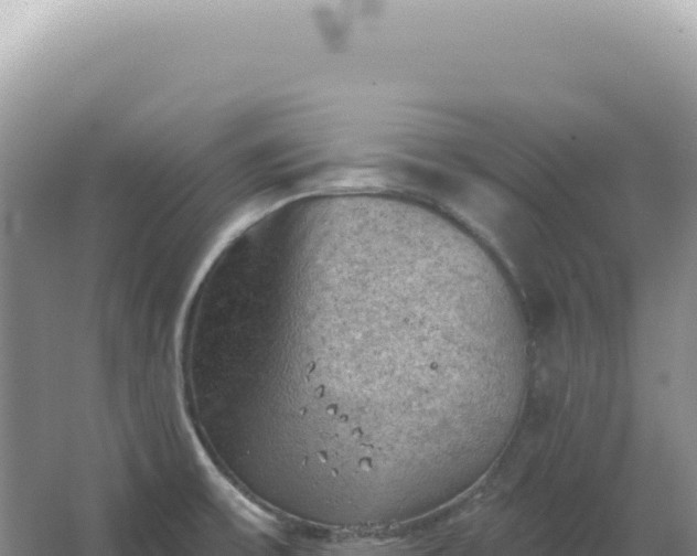 X0000067511475200604150121