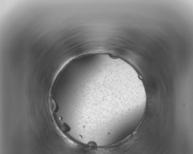 X0000067511476200604150121