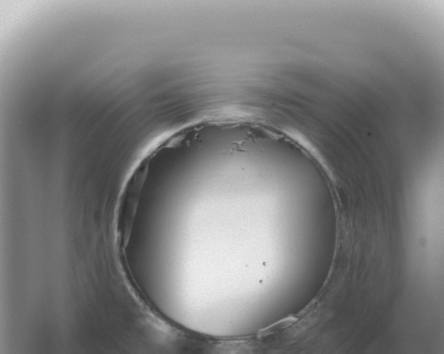 X0000067511477200604150120