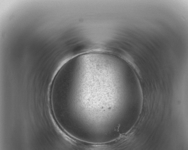 X0000067511483200604150120