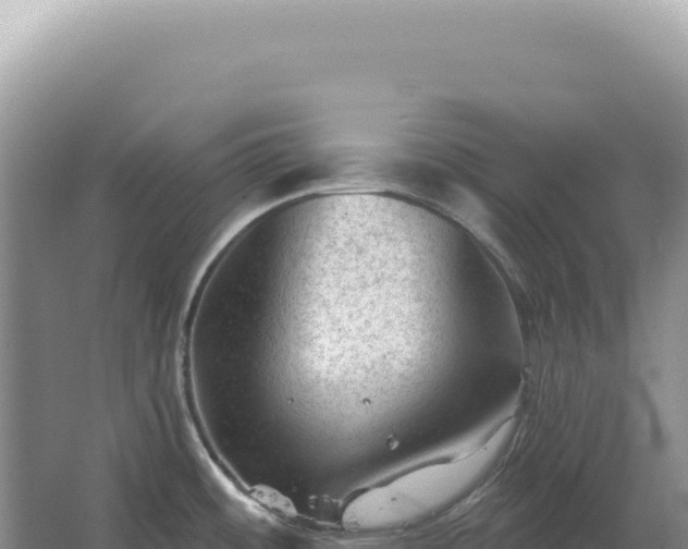 X0000067511484200604150120