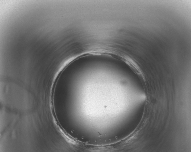 X0000067511485200604150120