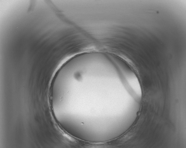 X0000067511486200604150120