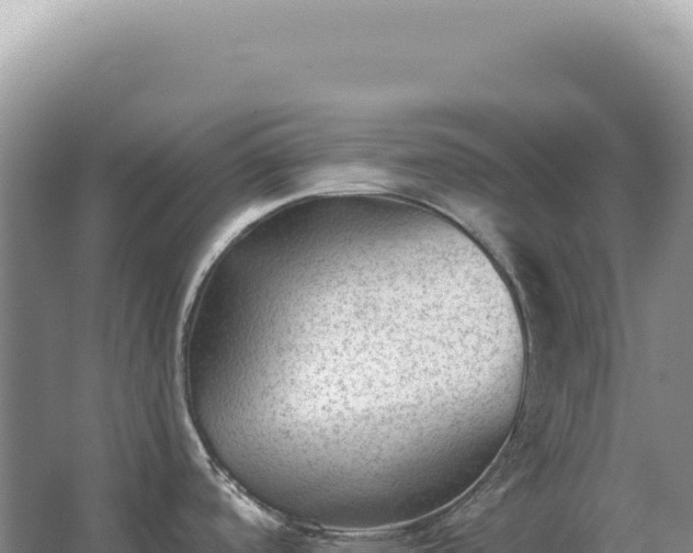 X0000067511488200604150120