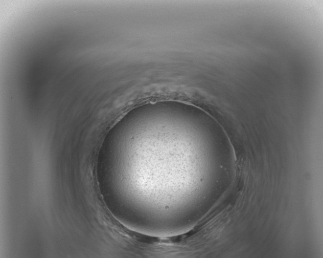 X0000067511489200604150120