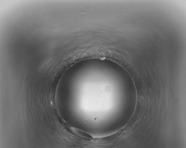 X0000067511490200604150120