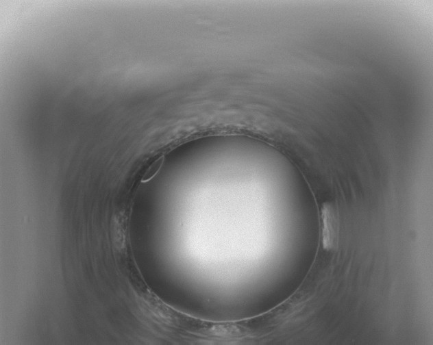 X0000067511491200604150120