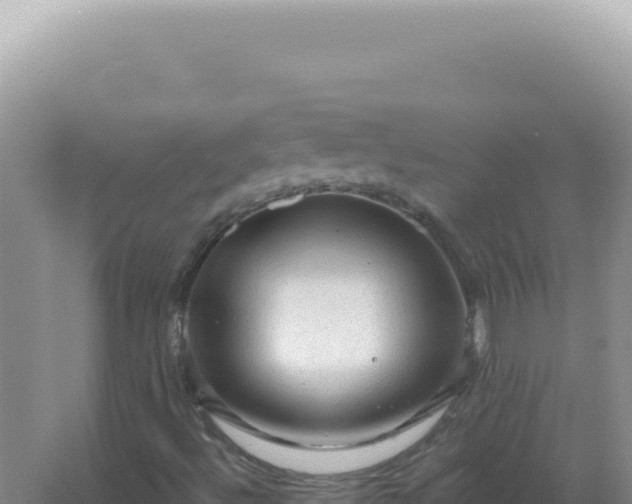 X0000067511492200604150120