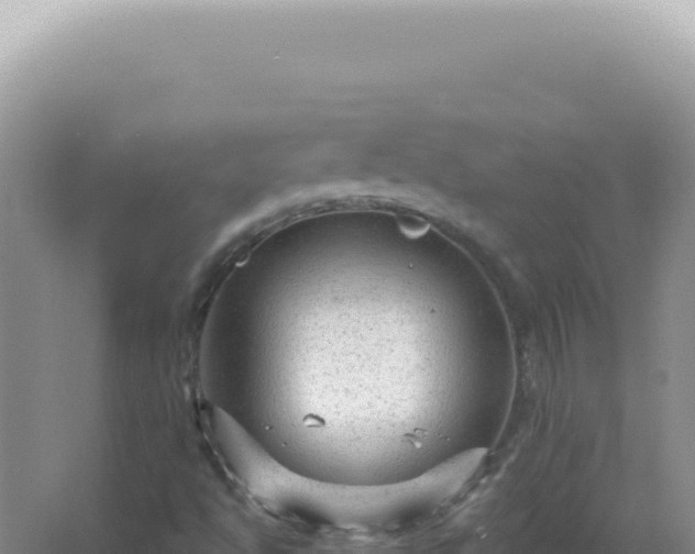 X0000067511494200604150120