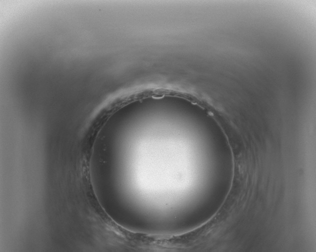 X0000067511495200604150120