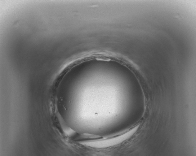 X0000067511496200604150120