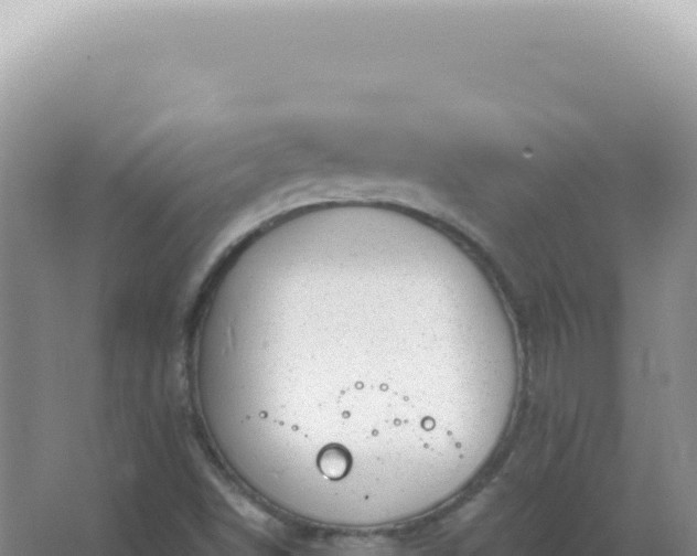 X0000067511498200604150120