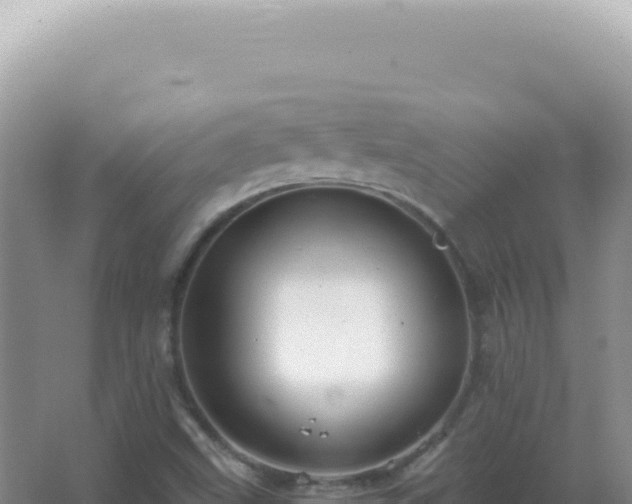 X0000067511499200604150120