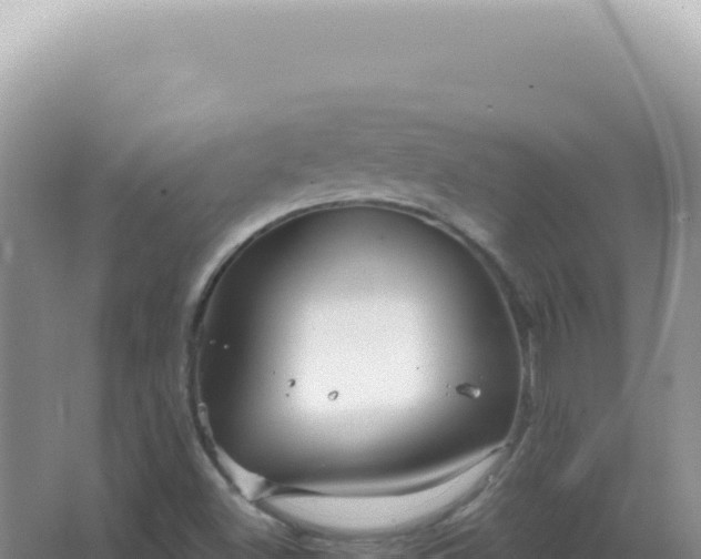 X0000067511500200604150120