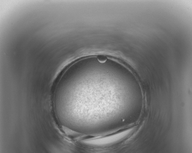 X0000067511501200604150120