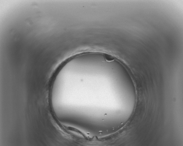 X0000067511503200604150120