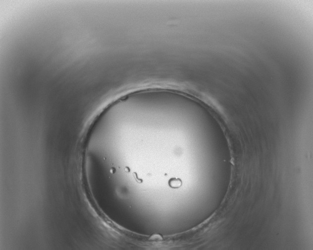 X0000067511504200604150120