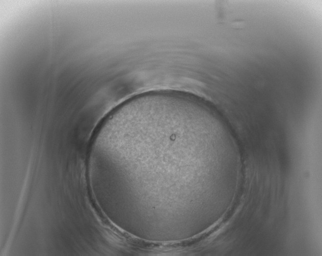 X0000067511505200604150120