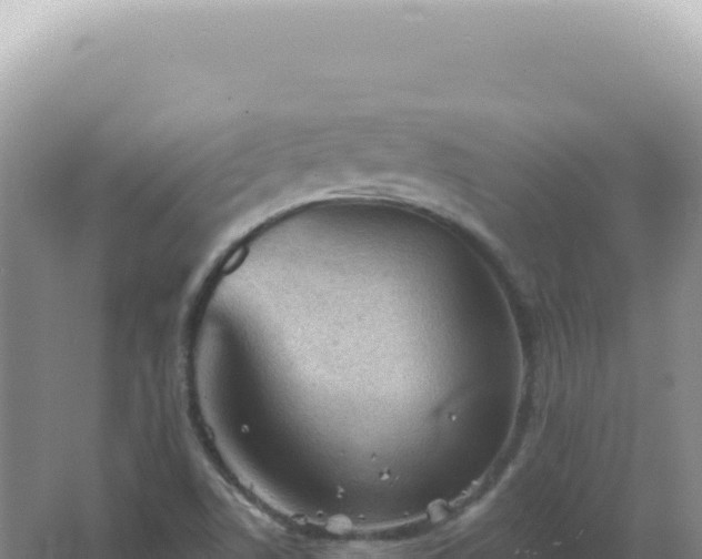 X0000067511506200604150120