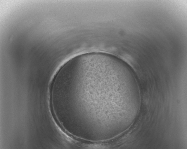 X0000067511508200604150120