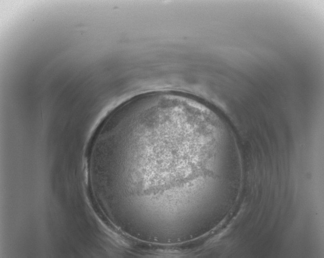 X0000067511509200604150120