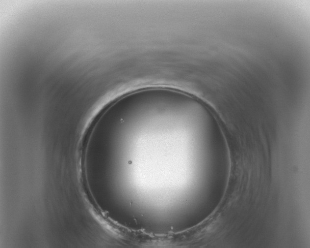 X0000067511511200604150120