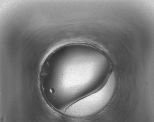 X0000067511512200604150120