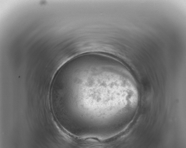 X0000067511513200604150120