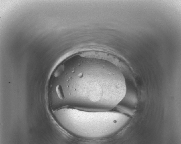 X0000067511514200604150120