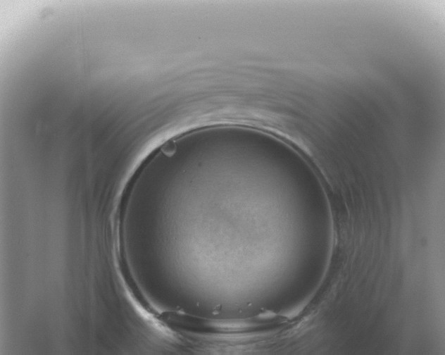 X0000067511515200604150120