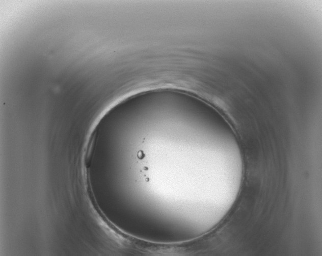 X0000067511516200604150120