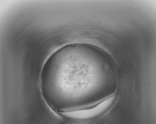 X0000067511517200604150120