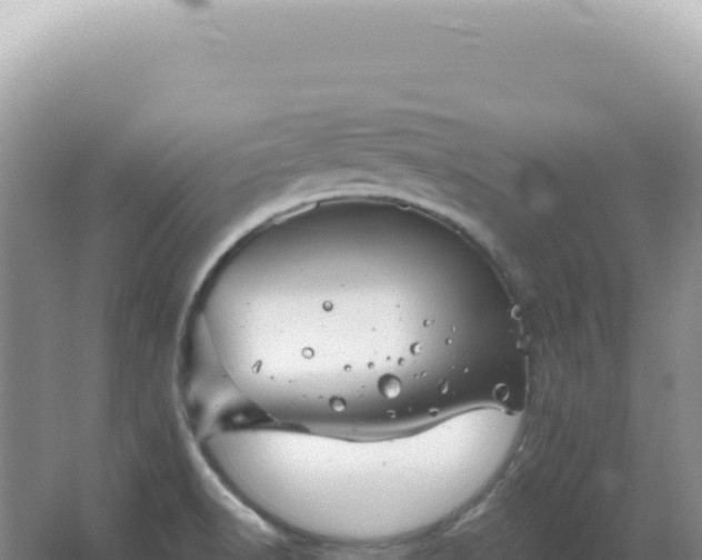 X0000067511518200604150120