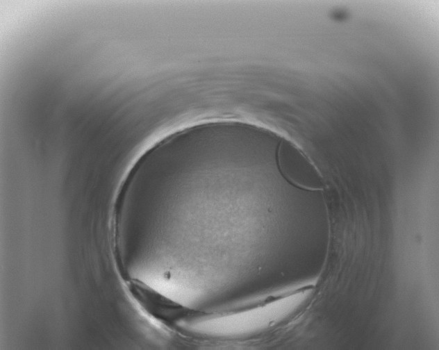 X0000067511519200604150120