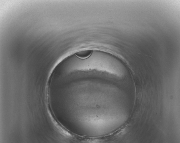 X0000067511522200604150120