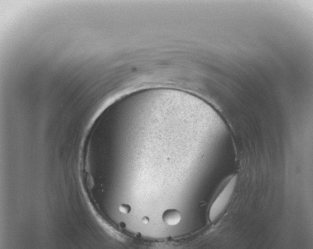 X0000067511523200604150120