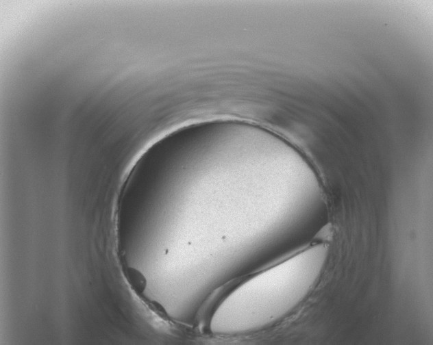 X0000067511524200604150120