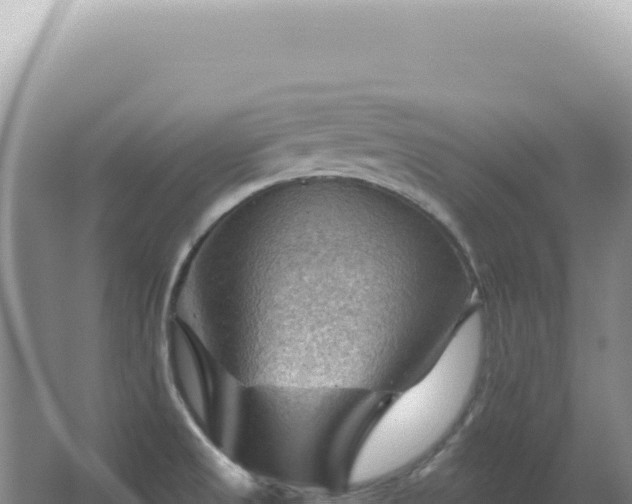 X0000067511525200604150120