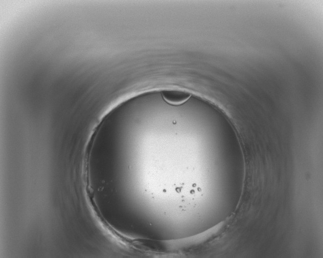 X0000067511526200604150120