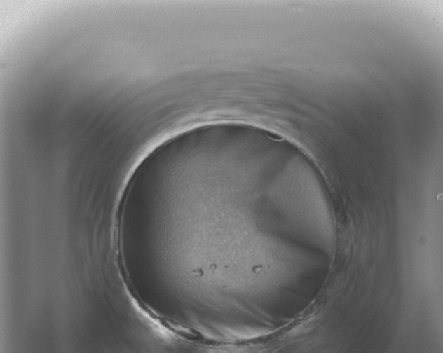 X0000067511527200604150120