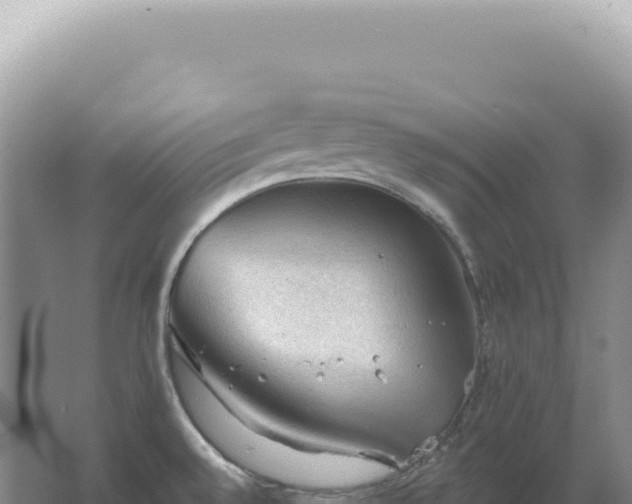 X0000067511528200604150120