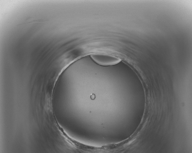 X0000067511529200604150120