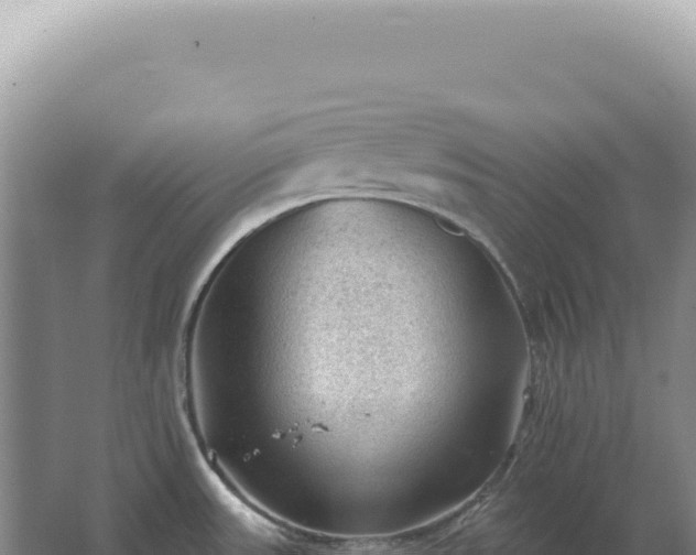 X0000067511531200604150120