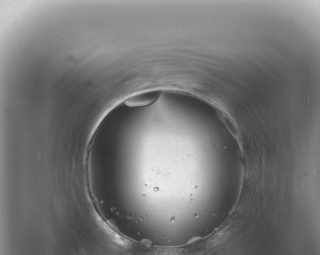 X0000067511532200604150120