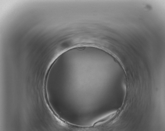 X0000067511533200604150120