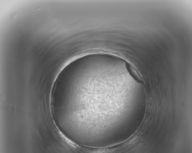 X0000067511535200604150120